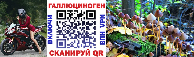 Галлюциногенные грибы MAGIC MUSHROOMS  Кунгур 